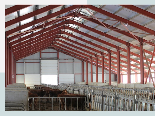 Строительство коровников в Северодвинске