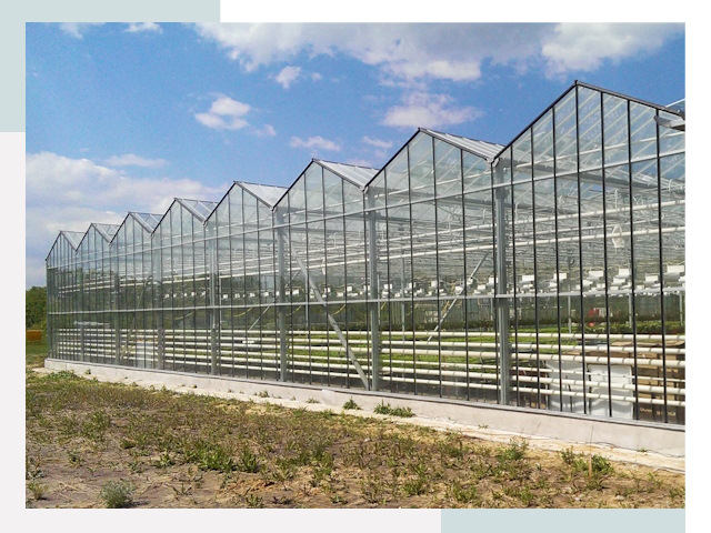 Строительство теплиц в Северодвинск от 607 руб. за м²
